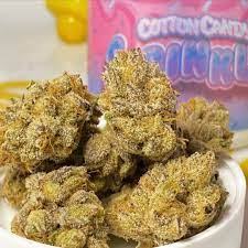 Buy Nerds Candy & Sprinklez Strain Online